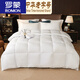 羅蒙（ROMON）95白鵝絨羽絨被加厚秋冬被保暖空調被秋冬季被子被芯鴨絨被 純白色-已質(zhì)檢白鵝絨 180*220cm(8斤)適用于冬季