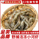 十里饞鮮活小河蝦現凍小河蝦野捕淡水蝦凈重淡水活蝦現凍小白蝦南漪湖 小河蝦【2-3厘米袋裝】 2斤(凈重)
