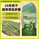 牛寵（niuchong）25年新草進(jìn)口提摩西草兔子磨牙苜蓿草兔兔曬干烘干牧草燕麥草糧食 高原烘干提 草段 多穗500g 兔子牧草