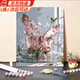韞舜diy手工數字油畫(huà)海洋蝴蝶油彩畫(huà)新款涂色唯美高級裝飾掛畫(huà)高顏值 櫻花蝴蝶【30*40】 【畫(huà)筆+顏料+內框】