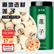 參慶堂 蓮子250g 磨皮通芯白蓮子燉湯煲湯禮品四神湯四物湯藥食同源原料