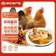 緣琳山 散養(yǎng)土雞 活雞新鮮宰殺煲湯老母雞肉 走地雞笨雞柴雞整雞 跑山雞1.6斤左右+老母雞2斤左右