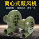 博朗晴離心鼓風(fēng)機(jī)小型家用單相鼓風(fēng)機(jī)鍋爐吹風(fēng)機(jī)爐灶引風(fēng)機(jī)220V強(qiáng)力 升級(jí)加厚60W鼓風(fēng)機(jī)