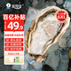 貝司令【源頭直發(fā)】鮮活乳山生蠔牡蠣貝類聚會(huì)燒烤6XL凈重4.5斤端午聚餐