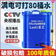 材質(zhì)德國進(jìn)口電動(dòng)噴霧器農(nóng)用高壓消毒打藥機(jī)家用新款鋰電池充 20升手柄開關(guān)三開關(guān)無電池超高