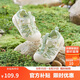 巴拉巴拉童鞋寶寶學(xué)步鞋兒童涼鞋嬰兒2025夏季網(wǎng)布鞋子男女童209225144201