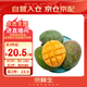 京鮮生 樹上熟 即食凱特芒果 3斤嘗鮮裝 2顆 生鮮水果