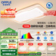 歐普（OPPLE）護(hù)眼全光譜吸頂燈客廳燈LED智能高亮線條燈簡約奶油風(fēng)包安裝套餐1