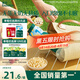 英氏（Engnice）嬰幼兒無麩質(zhì)綿綿泡芙 嬰兒寶寶零食無蛋奶添加健康零食易溶18g