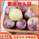 現(xiàn)挖新鮮獨頭蒜紫皮獨蒜大蒜頭干濕蒜特價農(nóng)家蔬菜批發(fā)價 帶箱 3 斤小果 21-26mm