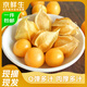 京鮮生 東北特產(chǎn)姑娘果 凈重3斤裝 黃姑娘果菇娘果燈籠果源頭直發(fā)包郵
