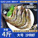 GUO LIAN國聯(lián)水產(chǎn) 白蝦大蝦沙特蝦 白對蝦加大號 活蝦急凍 蝦類(lèi) 盒裝活凍 大號鹽凍沙特蝦 4斤(凈重)