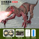 華詩(shī)孟遙控恐龍玩具電動(dòng)智能仿真動(dòng)物模型會(huì )走路發(fā)聲噴霧侏羅紀迅猛龍