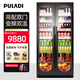 普拉蒂（PULADI）變頻雙門(mén)冰吧家用客廳冷藏柜茶葉玻璃門(mén)辦公室冰箱別墅紅酒柜恒溫商用冷柜飲料白酒展示柜超薄嵌入 變頻雙門(mén)(拱形)-1.885m高-冰吧款