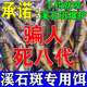 石斑魚(yú)餌料溪石斑專(zhuān)用窩料馬口白條溪哥寬鰭鬣溪流釣面筋魚(yú)餌顆粒 三袋【買(mǎi)二送一】多數釣友的選擇