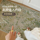 賽波斯亦毯亦畫(huà)高顏值進(jìn)門(mén)地墊入戶(hù)毯高級(jí)感輕奢玄關(guān)門(mén)口地毯60*90CM