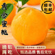 感光之水順豐大連特產(chǎn)黃金芒果桃 新鮮脆甜黃油桃大果 孕婦水果黃金蜜桃 4-4.5斤特大果【9-12枚彩箱】