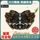 【活蟹】現(xiàn)貨陽(yáng)澄欣權(quán)大閘蟹鮮活全母螃蟹全公蟹生鮮水產(chǎn)禮盒裝 8只 公4.5-4.8母3.5-3.8