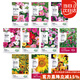 壽禾 花種子苗太陽(yáng)花格?；ㄏ蛉湛P仙花四季花海組合 10種花種子套餐