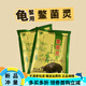 OIMG【鱉菌靈】烏龜腐皮白點(diǎn)爛皮疥瘡咬傷疥瘡靈小青南石巴西鱷龜 【原袋裝】鱉菌靈100克 送量勺+