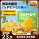 三只松鼠芒果干408g/袋 休閑零食水果干蜜餞果脯娛樂辦公室小吃量販裝