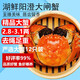 【活蟹】湖鮮陽(yáng)澄 大閘蟹 去繩足重 全母2.8-3.1兩 12只 中秋節國慶送禮螃蟹海鮮禮盒裝