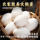耕果妙新鮮大鵝蛋12枚3.12斤農家散養新鮮鵝蛋130-160g/枚 源頭直發(fā)包郵