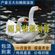 二斤重產(chǎn)蛋王大白鵝活苗半大脫溫白鵝苗三花鵝苗豁眼鵝苗小鵝活苗 1-1.5斤的大白鵝  4只【1公3母】