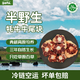雪峰犇羴牦牛肉 牛尾 純草飼 純天然 半野生 黃膘 草原牧養(yǎng) 清真 源頭直發(fā) 半野生 牛尾塊 2斤（1斤*2袋）