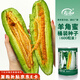 壽禾 羊角蜜種子苗脆甜水果甜瓜種籽 濰育壽甜9號羊角蜜種子600粒桶裝