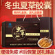世昕堂冬蟲夏草膠囊手術(shù)后恢復(fù)老年人營養(yǎng)品滋補品送長輩增強免疫保健品 蟲草膠囊2瓶120粒贈氨基酸口服液 一盒木質(zhì)禮盒裝