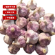 【新干蒜】2025年干大蒜蒜頭干蒜金鄉(xiāng)大蒜農(nóng)家蒜便宜批發(fā) 實惠2斤干大蒜4.0-5.0cm大果帶箱