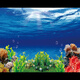 魚(yú)缸背景貼紙5d高清畫(huà)立體畫(huà)海底世界3d水族箱造景裝飾壁紙自粘紙 06.海底世界 寬50cm-高40cm【送刮板】
