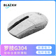黑皇 鼠標防滑貼 適用  G102 二代 G304專(zhuān)用無(wú)線(xiàn)鼠標側邊吸汗貼紙 類(lèi)蜥蜴皮彩貼貼膜 G304專(zhuān)用 雪花雪域白全套【淺色易臟】