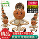 [精品活蟹]伊樂草 特大六月黃蘇州太湖大閘蟹鮮活現(xiàn)貨螃蟹禮盒 現(xiàn)貨六月黃 精品12只 1.9-2.3兩