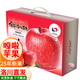 洛川蘋(píng)果陜西嘎啦蘋(píng)果2025年頭茬新果新鮮采摘現摘現發(fā)新鮮蘋(píng)果水果 20枚75mm禮盒裝