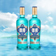 洋河高線光瓶酒 藍(lán)洋河42度500ml*2瓶【現(xiàn)貨秒發(fā)】 42度 500mL 2瓶