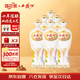 西鳳酒 國花瓷10年陳釀 52度 500ml*6瓶 整箱裝 鳳香型白酒 雙11鉅惠