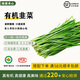 綠源禾心有機(jī)韭菜新鮮現(xiàn)割鮮嫩炒菜燒烤餃子餡農(nóng)場當(dāng)季時(shí)令健康無農(nóng)殘蔬菜 3斤