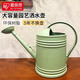 愛麗思（IRIS）灑水器水壺園藝工具簡約花草樹脂塑料噴壺大容量園藝噴水壺 綠色 帶噴頭 3.6L