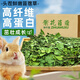 怪獸盒子烘干紫花苜蓿草幼兔子頭茬新草龍貓豚鼠荷蘭豬主食兔糧草精品細(xì)桿 25年頭茬苜蓿（葉多桿少）1KG