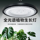 聚遠(yuǎn)方仿太陽(yáng)光模擬燈全光譜植物補(bǔ)光燈大棚室內(nèi)養(yǎng)蘭花卉月季植物生長(zhǎng)燈 100W【手動(dòng)開(kāi)關(guān)】