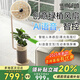 先鋒（SINGFUN）【AI互動科技】智能互動語音落地扇空氣循環(huán)扇人體感應(yīng)負(fù)離子電風(fēng)扇國家補(bǔ)貼DLD-D36R