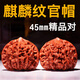 沐瑪手玩核桃文玩麻核頭悶尖白獅子頭四座樓磨盤七夕情人節(jié)禮物男 45-46MM麒麟紋官帽+工具