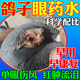 FAKT鴿子眼病藥水治單眼傷風(fēng)腫脹睜不開眼睛流淚紅腫專用滴眼液一滴靈 單瓶裝【鴿子眼藥水】