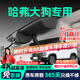 晉御滋哈弗大狗行車記錄儀高清免走線原廠二代大狗專車專用后視鏡免安裝 【一代哈弗大狗】26款專用 超清【單鏡頭】2160P+64G