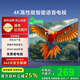 4 KK 王牌 【家電補(bǔ)貼30%】4K液晶電視機(jī)超高清智能語(yǔ)音投屏護(hù)眼網(wǎng)絡(luò)客廳家用無(wú)線投屏?xí)h平板電視WiFi電視 55LED【網(wǎng)絡(luò)語(yǔ)音版】長(zhǎng)73*寬43