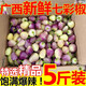 廣西七彩椒新鮮辣椒5斤特產(chǎn)五彩燈籠泡椒小米辣剁椒蔬菜整箱3 1斤