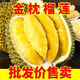 泰國金枕頭榴蓮鮮果巴掌大新鮮孕婦水果軟糯香甜非黑刺貓山王 金枕榴蓮3.5-4斤