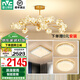雷士（NVC）北歐現(xiàn)代輕奢智能網(wǎng)紅led螢光客廳吊燈餐廳吊燈中山燈具燈飾套餐 螢光 15頭智能吊燈 【三室一廳】